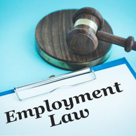 Employment Lawyers